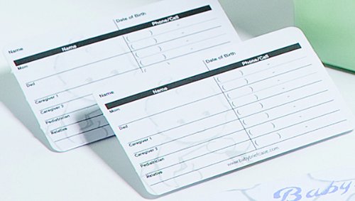 Baby Briefcase Baby Paperwork Organizer, Mint/Periwinkle