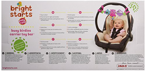 Bright Starts Busy Birdies Carrier Toy Bar Musical Take-Along Toy with Lights, Ages Newborn +, Pink