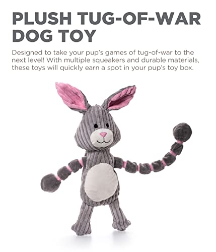 Charming Pet Thunda Tugga Bunny Plush and Squeaky Dog Tug Toy