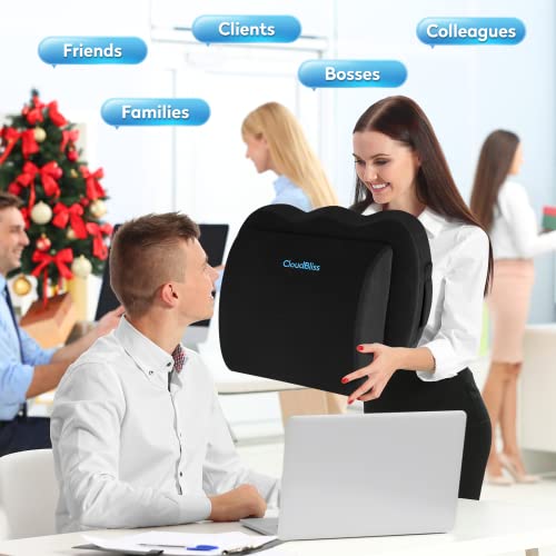CloudBliss Seat Cushion,Office Chair Cushion,Car Seat Cushion,Lumbar Support Pillow for Office Chair,Back Support Memory Foam Pillow Coccyx Cushion for Tailbone Pain,Sciatica and Back Pain Relief -Black