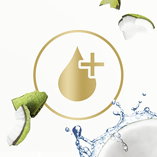 Dove Nourishing Secrets Hydrating Shampoo for Daily Use Coconut and Hydration Dry Hair Shampoo With Refreshing Lime Scent 12 oz, 6 Count