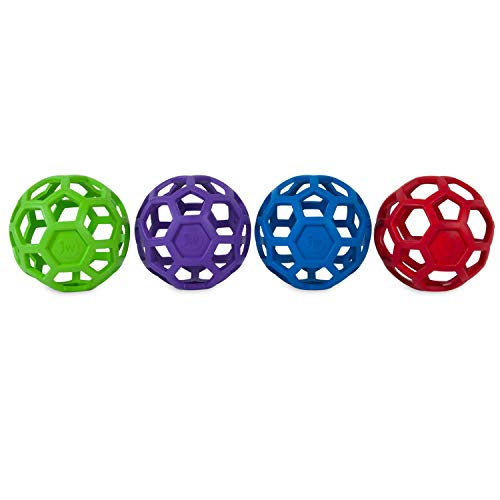 JW Hol-ee Roller Dog Fetch Treat Dispenser Puzzle Ball; Large 5.5 Inch Diameter