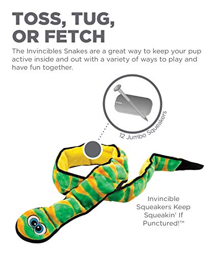 Outward Hound Invincibles Green Snake Plush Dog Toy, XXL