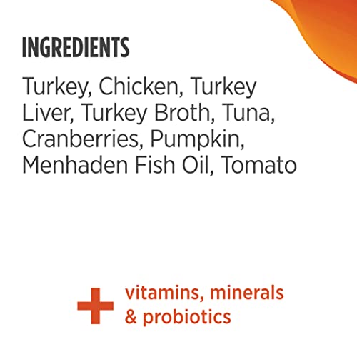 Nulo Freestyle Cat and Kitten Wet Pate Canned Cat Food, Premium All Natural Grain-Free, with 5 High Animal-Based Proteins and Vitamins to Support a Healthy Immune System and Lifestyle(Pack of 12)