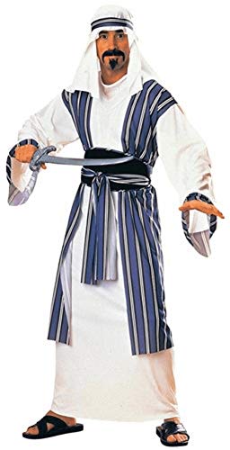 Rubie's mens Desert Prince, Deluxe Adult Costume Party Supplies, Indigo, One Size US