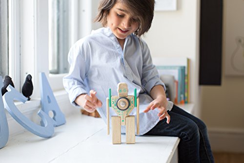 Tegu Magbot Magnetic Wooden Block Set, 1-99 years old, 9 pieces