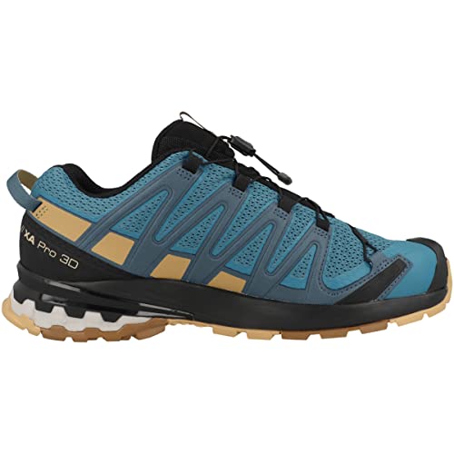 Salomon XA PRO 3D v8 Trail Running Shoes for Men, Barrier Reef/Fall Leaf/Bronze Brown, 12