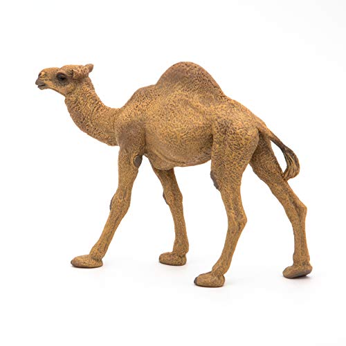 Papo -Hand-Painted - Figurine -Wild Animal Kingdom - Dromedary -50151 -Collectible - for Children - Suitable for Boys and Girls- from 3 Years Old