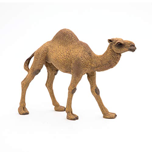 Papo -Hand-Painted - Figurine -Wild Animal Kingdom - Dromedary -50151 -Collectible - for Children - Suitable for Boys and Girls- from 3 Years Old