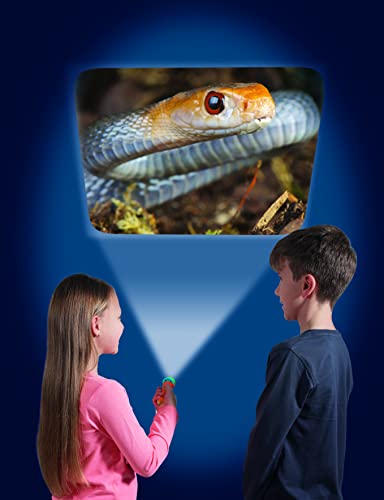 Brainstorm Toys Most Deadly Flashlight and Projector, Multi, One Size