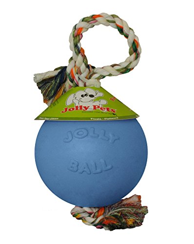 Jolly Pets Romp-n-Roll Rope and Ball Dog Toy, 6 Inches/Medium, Blueberry, Model Number: 606 BB, All Breed Sizes
