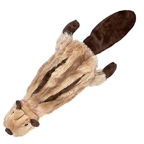 Best Pet Supplies 2-in-1 Stuffless Squeaky Dog Toys with Soft, Durable Fabric for Small, Medium, and Large Pets, No Stuffing for Indoor Play, Holds a Plastic Bottle - Squirrel, Large
