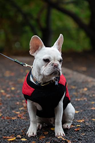 Gooby Fashion Vest Dog Jacket - Red, X-Large - Warm Zip Up Dog Bomber Vest with Dual D Ring Leash - Winter Water Resistant Small Dog Sweater - Dog Clothes for Small Dogs Boy or Medium Dogs