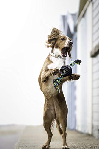 Pet Qwerks X-Tire Ball Dog Toys - Rope Interactive Chew Toy - Medium