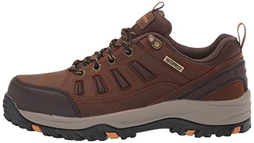 Skechers mens Relaxed Fit Relment - Semego Hiking Shoe, Dark Brown, 9 US