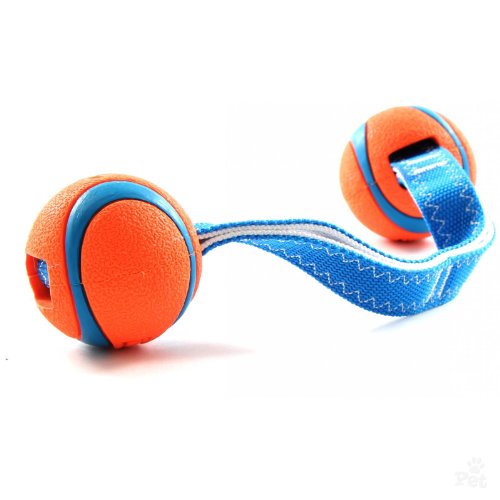 Chuckit! Ultra Duo Tug Dog Toy, Medium Indoor and Outdoor Dog Toy