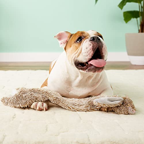 SPOT by Ethical Products Skinneeez - The Original Stuffless Stuffingless Dog Toys - Squeak Toys Tug Toy Small Dogs and Large Dogs Puppy Chew Toy Alternative Interactive Dog Toy - Rabbit - Large