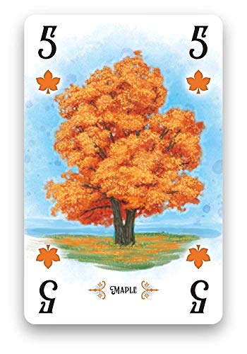 Renegade Game Studios Arboretum Strategy Card Game that Challenges 2-4 Players Aged 8 and Up to Create the Most Beautiful Garden (packaging may vary)