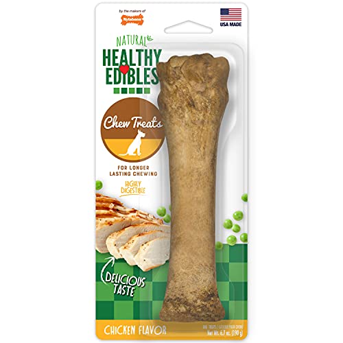 Nylabone Healthy Edibles All-Natural Long Lasting Chicken Flavor Dog Chew Treats 1 Count Chicken X-Large/Souper
