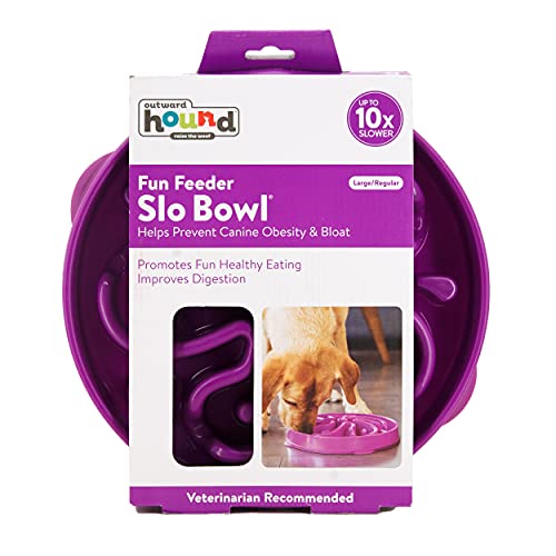 Outward Hound Fun Feeder Slo Bowl, Slow Feeder Dog Bowl, Large/Regular, Purple