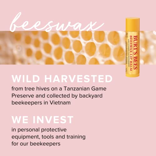 Burts Bees Mothers Day Gifts for Mom, 5 Body Care Products, Everyday Essentials Set - Original Beeswax Lip Balm, Deep Cleansing Cream. Hand Salve, Body Lotion and Foot Cream, Travel Size