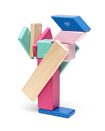 14 Piece Tegu Magnetic Wooden Block Set, Blossom