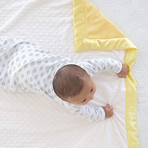 Black 3-6 Months SwaddleDesigns Baby Infant Cotton Gown with Mitten Foldover Cuffs, Tiny Hedgehogs