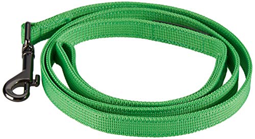 Puppia Two Tone Dog Lead Strong Durable Comfortable Grip Walking Training Leash for Small and Medium Dog, Green, Medium