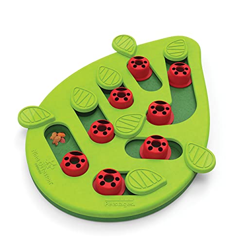Petstages Nina Ottosson Buggin' Out Puzzle and Play - Interactive Cat Treat Puzzle