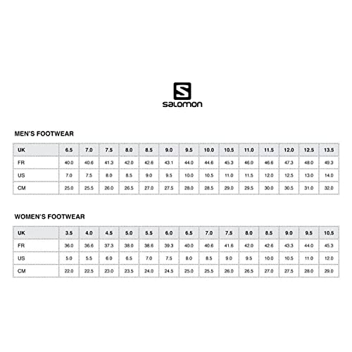 Salomon Quest 4 Gore-TEX Hiking Boots for Men, Magnet/Black/Quarry, 9.5