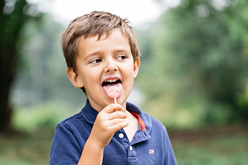 YumEarth Organic Lollipops, Variety Pack, 30 ounce (pack of 1) - Allergy Friendly, Non GMO, Gluten Free, Vegan (Packaging May Vary)