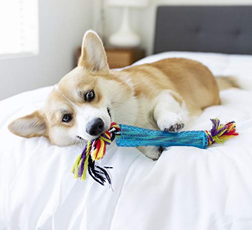 Petstages Orka Stick Alternative Dog Chew Toy