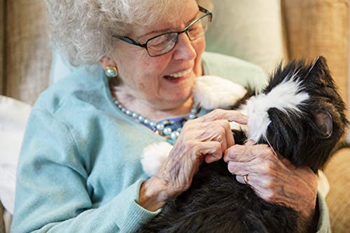 JOY FOR ALL - Black and White Tuxedo Cat - Interactive Companion Pets - Realistic and Lifelike