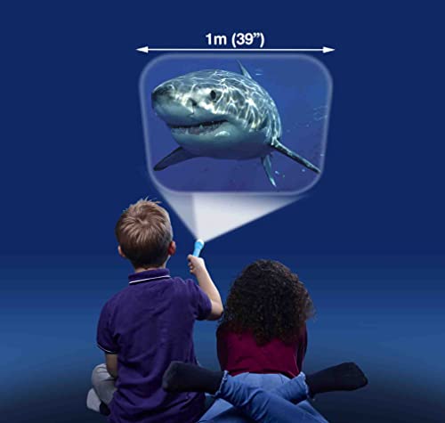 Brainstorm Toys: Shark Torch and Projector, Projects 24 Fascinating Colour Shark Images onto Walls and Ceilings, Includes 3 Slide Discs, Batteries Included, For Ages 3 and up