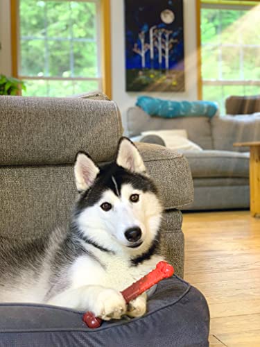 Nylabone Flavor Frenzy Power Chew Dog Toy Beef Jerky Large/Giant (1 Count)