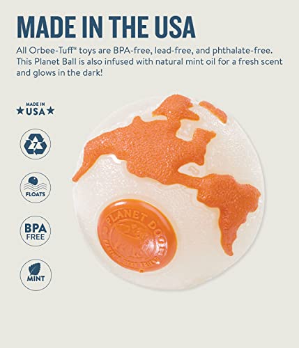 Planet Dog Orbee-Tuff Durable Chew-Fetch Ball Dog Toys