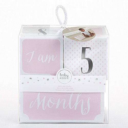Baby Aspen My First Milestone Princess Age Blocks | Baby Picture Props for Photo Sharing The First Year