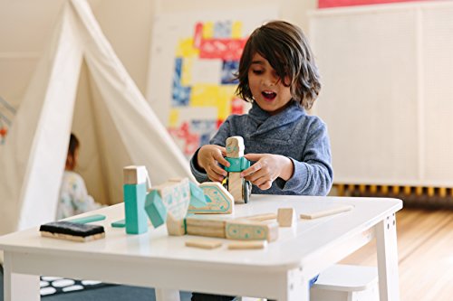 Tegu Magbot Magnetic Wooden Block Set, 1-99 years old, 9 pieces