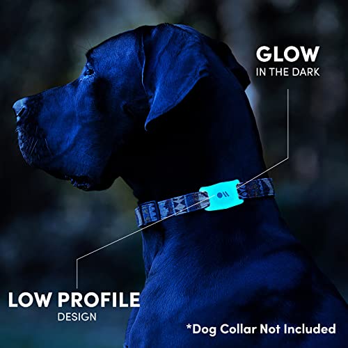 Case-Mate Airtag Dog Collar Holder - Water Resistant Airtag Holder Dog Tag - Protective Airtag Case for Dog Collar - Pet Collar Airtag Loop - Compatible with Cat/Dog Collars - Glow in The Dark