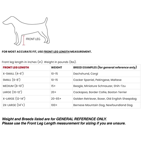 FouFou Dog 62558 Bodyguard Protective All-Weather Dog Pants, Small, Gray