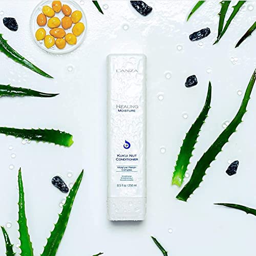 L'ANZA Healing Moisture Kukui Nut Conditioner, Renews Strength, Replenishes Moisture, for a Perfect Silky Look,Suitable for All Hair Types (8.5 Fl Oz)