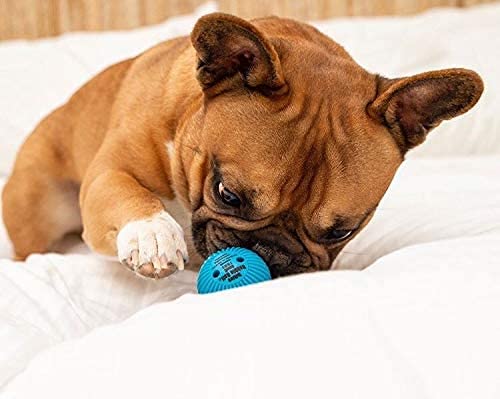 Pet Qwerks Talking Babble Ball - Interactive Chew Dog Toy - Large