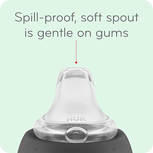 NUK Disney Active Sippy Cup, Minnie Mouse, 10oz 1pk