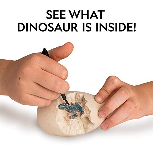 NATIONAL GEOGRAPHIC Dinosaur Dig Kit - 12 Dino Shaped Dig Bricks with Dinosaur Figures Inside, 12 Excavation Tool Sets, Perfect Activity for Egg Hunt or Dig Party, Great STEM Toy for Boys and Girls