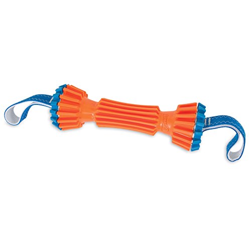ChuckIt! Rugged Bumper Dog Toy, Large