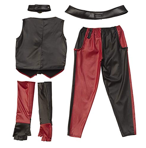 Secret Wishes Batman Arkham City Adult Harley Quinn Costume, Multi-Colored, Medium