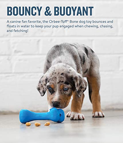 Planet Dog Orbee-Tuff Bone Blue Dog Chew Toy, Small