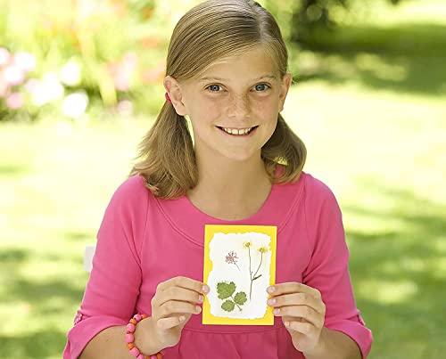 4M Green Creativity Pressed Flower Art Kit, Recycle Flowers Art and Crafts DIY Kit, For Boys and Girls Ages 5+