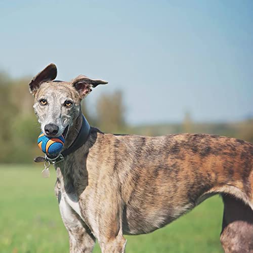 Chuckit! Ultra Squeaker Ball Dog Toy, Large (3 Inch) 1 Pack