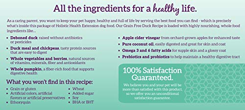 Health Extension Dry Dog Food, Natural Food with Added Vitamins and Minerals, Suitable for All Puppies, Include Duck Recipe with Whole Vegetable and Berries (4 Pound)